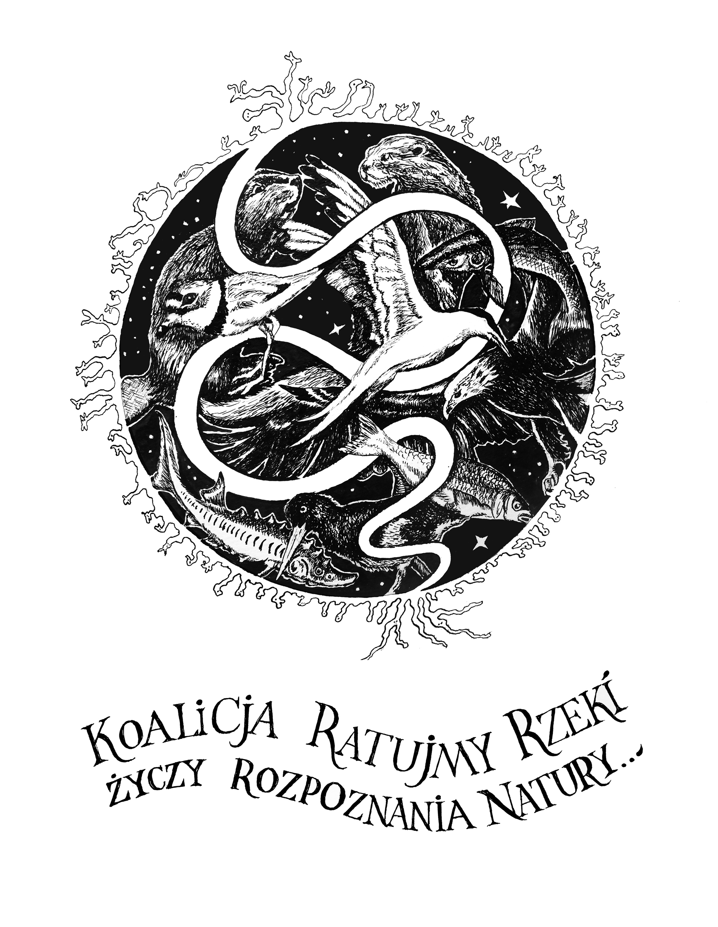 Rys. Ewa Ciepielewska